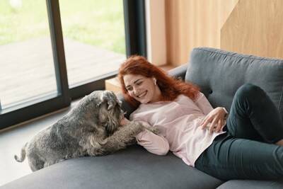 犬が『優しく触ってくる』ときの心理4つ　愛犬がソフトタッチしてくる理由や適切な対応まで