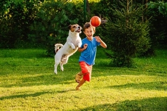 犬の『知能』は人間でいうと何歳ぐらいなの？賢いからこそ注意すべき飼い方まで解説