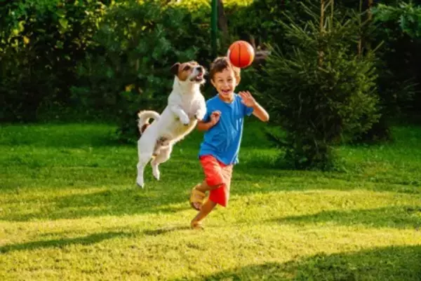 犬の『知能』は人間でいうと何歳ぐらいなの？賢いからこそ注意すべき飼い方まで解説