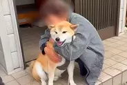 3年間、ご近所のおばあちゃん家に通い続けた犬たち…思わず泣けてくる『かけがえのない光景』が64万再生「まるで孫…心が暖かくなる」「素敵」