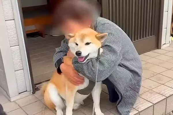 3年間、ご近所のおばあちゃん家に通い続けた犬たち…思わず泣けてくる『かけがえのない光景』が64万再生「まるで孫…心が暖かくなる」「素敵」