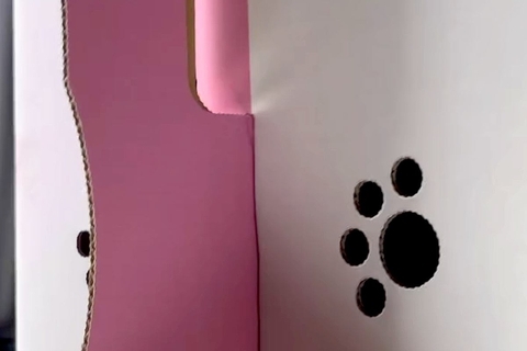 赤ちゃん犬を飼った初日→『不安になってないかな』と、箱の中を覗いた結果…予想外すぎた『衝撃の光景』が128万再生「可愛すぎ」「天使？」