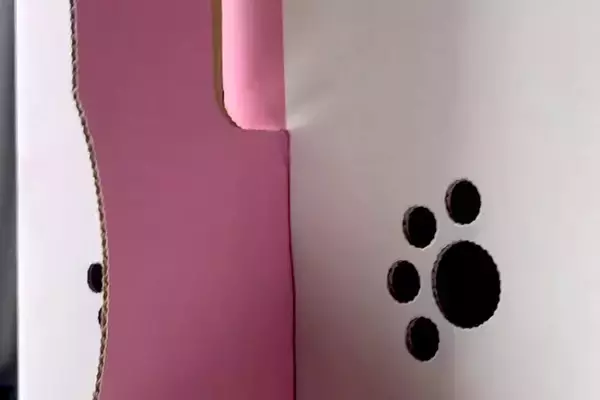 赤ちゃん犬を飼った初日→『不安になってないかな』と、箱の中を覗いた結果…予想外すぎた『衝撃の光景』が128万再生「可愛すぎ」「天使？」