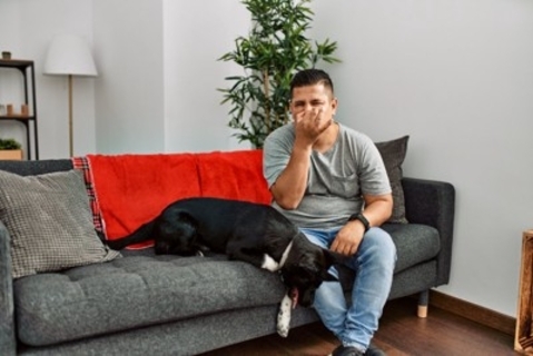 犬の『口臭』が悪化するNG行為6選　ニオイが酷くなる原因や対処法まで