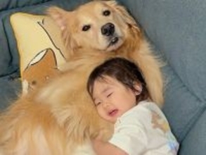 ソファで人間のようにくつろぐ大型犬→1歳の女の子が近づいて…あまりに尊い『真似っ子する光景』が49万再生「人にしか見えない」「羨ましい」