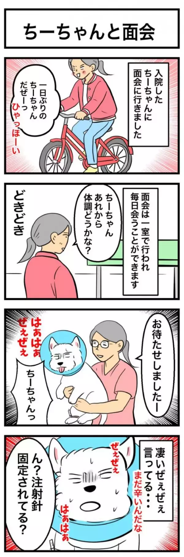 ちーちゃんですけどもっ【第337話】「ちーちゃんと面会」