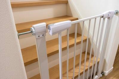 犬を留守番させるときにすべき配慮とは？飼い主の外出前に必要な事前準備まで