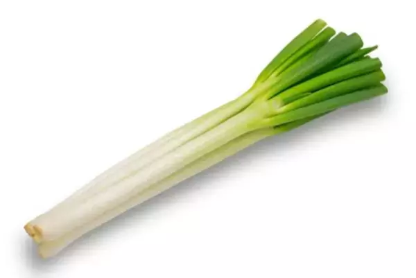 犬に絶対NGな『冬の食材』４選　万が一食べてしまった場合の危険な症状や対策まで