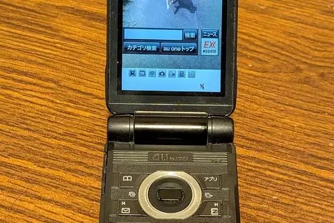 実家にあったガラケーを充電したら『亡くなった愛犬の写真』を見つけて…思わず涙腺がゆるむ光景が161万表示「ダメだ、泣けちゃう」「宝物」