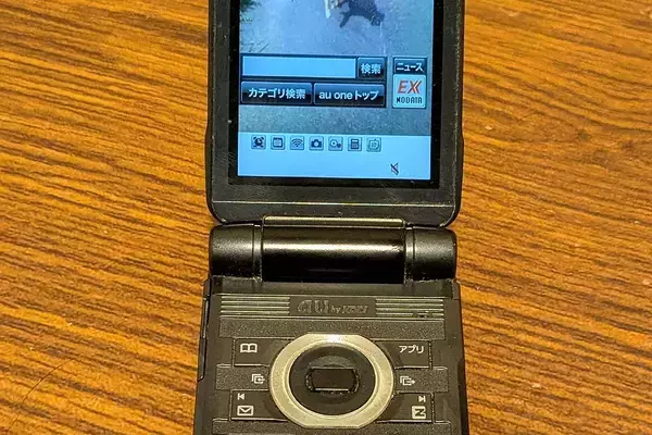 実家にあったガラケーを充電したら『亡くなった愛犬の写真』を見つけて…思わず涙腺がゆるむ光景が161万表示「ダメだ、泣けちゃう」「宝物」