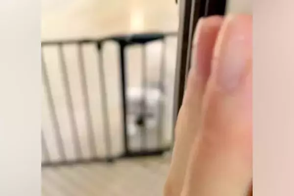 トリミングサロンに3時間預けた犬をお迎えへ→ドアを開けた瞬間に…『数年ぶりの再会』のような光景に反響「遅い！って言ってるｗ」「可愛い」