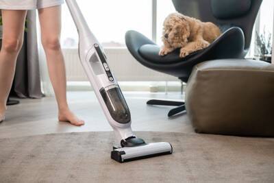 犬が『カーペットを舐める』4つの理由　やめさせるにはどうしたらいいの？