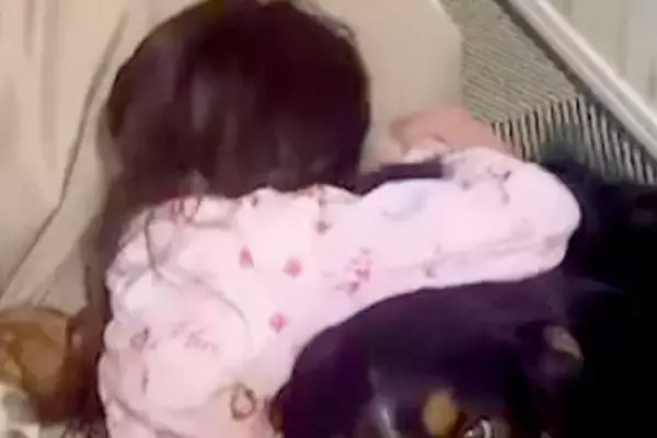 親に叱られ、落ち込んでしまった女の子→超大型犬が近づいて…頼もしすぎる『まさかの表情』が83万再生「訴えてるのよくわかる」「憧れる」