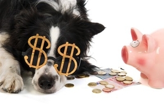 『お金がかかる犬』の特徴5選　何に費用がかかるの？定期的に発生する主な出費とは