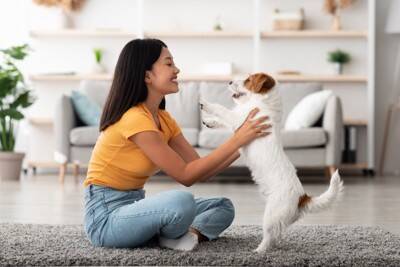 犬が『不安になっている』ときにする行動5つ　愛犬を落ち着かせるために飼い主にできることはあるの？
