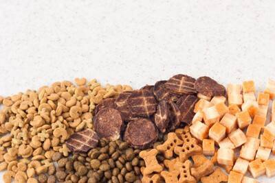 犬に『おやつを与えてはいけない』瞬間５選　絶対NGなタイミングやリスクまで