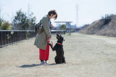 犬が思う『幸せなこと』５選　愛犬の幸福度を高めるために飼い主ができることまで