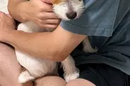 お父さんの腕の中で『怖い』と怯える犬→想定外だった『まさかの理由』と『数十秒後の姿』に2万いいね「確かに怖いかもｗ」「可愛すぎる」と絶賛