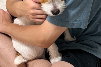 お父さんの腕の中で『怖い』と怯える犬→想定外だった『まさかの理由』と『数十秒後の姿』に2万いいね「確かに怖いかもｗ」「可愛すぎる」と絶賛