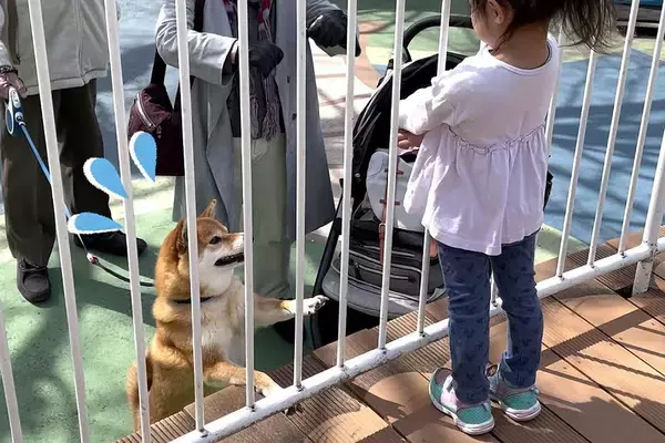3歳の女の子が『テーマパークのアトラクション』に乗ろうとした結果→離れ離れになった犬が…心配しすぎている光景に「健気でいじらしい」と反響