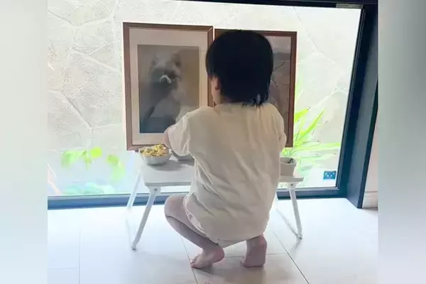亡くなった愛犬の命日、遺影の前にお供え物をしたら…2歳の男の子がみせた『優しい行動』が尊すぎる　胸がじんわり温かくなる光景に反響
