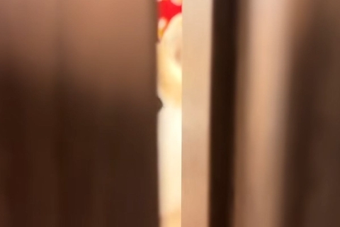 ドアを閉めて『犬と10秒間だけお別れしてみた』結果→そーっと開けてみると…抱きしめたくなる『再会の瞬間』に反響「健気だ」「バレバレｗ」