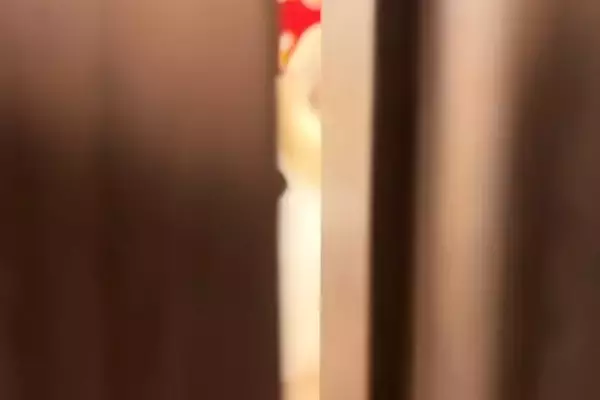 ドアを閉めて『犬と10秒間だけお別れしてみた』結果→そーっと開けてみると…抱きしめたくなる『再会の瞬間』に反響「健気だ」「バレバレｗ」