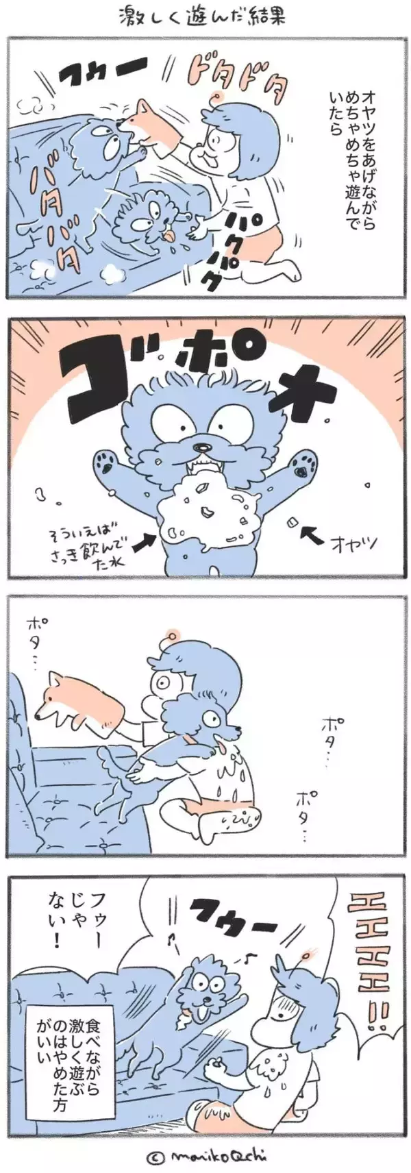 犬と暮らせば【第563話】「激しく遊んだ結果」