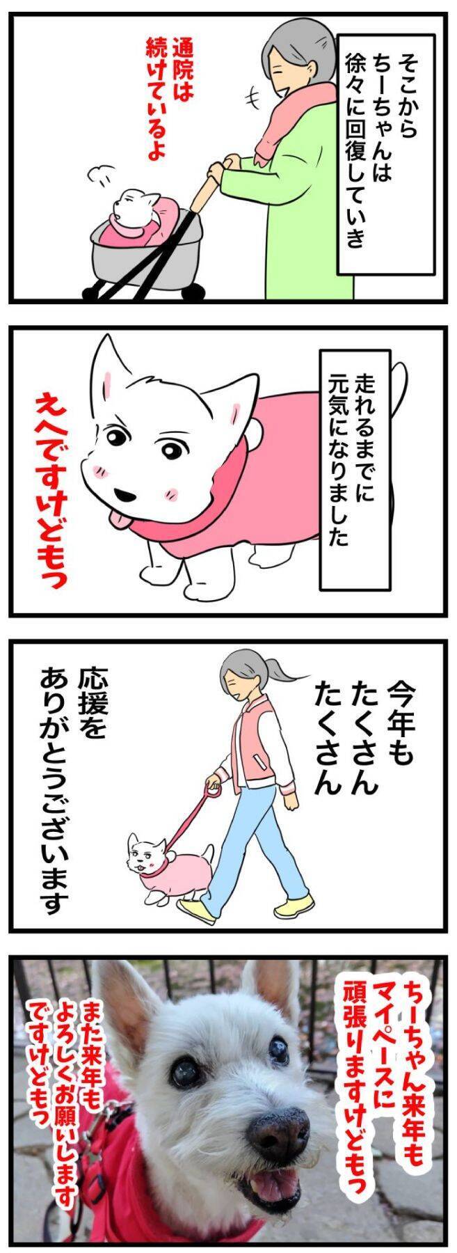 ちーちゃんですけどもっ【第341話】「今年もありがとう」