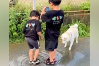 2人の男の子と犬が『水たまり』を見つけた結果→夢中になって遊び始めて…帰る気が全くない光景に反響「仲良しで可愛い」「三人兄弟みたい」