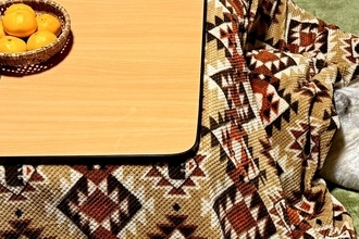 カッコよくて寒さに強いイメージの『シベリアンハスキー』→実際は…想像とかけ離れている『衝撃の光景』に4万いいね「情けなくて草」「野生ｗ」