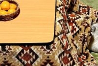 カッコよくて寒さに強いイメージの『シベリアンハスキー』→実際は…想像とかけ離れている『衝撃の光景』に4万いいね「情けなくて草」「野生ｗ」