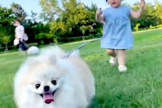 2歳の女の子が、生まれて初めて『犬の散歩』をしてみた結果→必死に食らいついて…どっちの散歩か分からない光景が295万再生「容赦なくて草」
