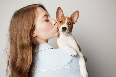 犬を怯えさせる飼い主の『絶対NG行為』5選　恐怖心や強いストレスを与える行動まで