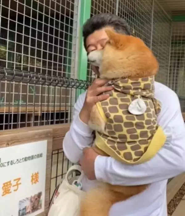 動物園で初めて『トラ』を見た犬→お父さんに抱っこしてもらっているのに…まるで人間の子供のような反応が42万再生「怖いねｗ」「微笑ましい」