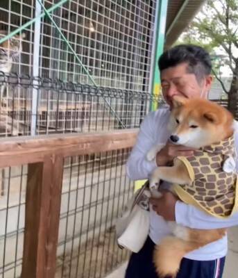 動物園で初めて『トラ』を見た犬→お父さんに抱っこしてもらっているのに…まるで人間の子供のような反応が42万再生「怖いねｗ」「微笑ましい」
