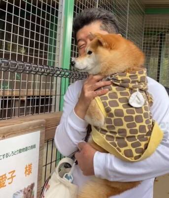 動物園で初めて『トラ』を見た犬→お父さんに抱っこしてもらっているのに…まるで人間の子供のような反応が42万再生「怖いねｗ」「微笑ましい」