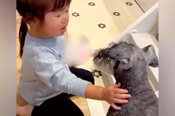 ママに叱られた小さい女の子→泣いていたら、犬が寄り添って…兄妹愛あふれる『尊すぎる行動』に反響「優しい」「いい関係でほっこり」と2万再生