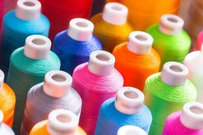 犬に絶対『与えてはいけないモノ』６選　渡してはいけない理由や事故を防ぐための対策まで