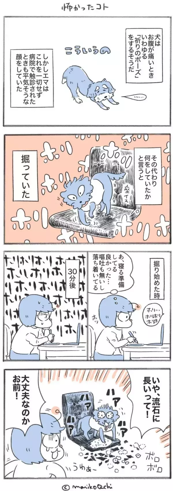 犬と暮らせば【第541話】「怖かったコト」