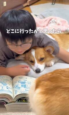 お母さんに怒られた犬→男の子のそばに行き…まさかの『戦略的な行動』があざとすぎると214万再生「チラチラ見てるｗ」「目で訴えてるの草」