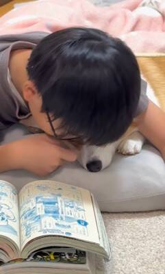 お母さんに怒られた犬→男の子のそばに行き…まさかの『戦略的な行動』があざとすぎると214万再生「チラチラ見てるｗ」「目で訴えてるの草」