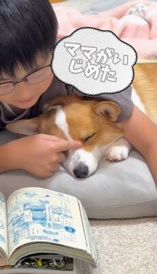 お母さんに怒られた犬→男の子のそばに行き…まさかの『戦略的な行動』があざとすぎると214万再生「チラチラ見てるｗ」「目で訴えてるの草」