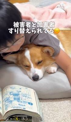 お母さんに怒られた犬→男の子のそばに行き…まさかの『戦略的な行動』があざとすぎると214万再生「チラチラ見てるｗ」「目で訴えてるの草」