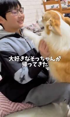 お母さんに怒られた犬→男の子のそばに行き…まさかの『戦略的な行動』があざとすぎると214万再生「チラチラ見てるｗ」「目で訴えてるの草」