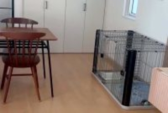 妻が犬を連れて動物病院へ→ふと家の中を確認してみた結果…衝撃的な『わすれもの』が15万再生「笑ったｗｗ」「キョトンとしてて草」と爆笑の声