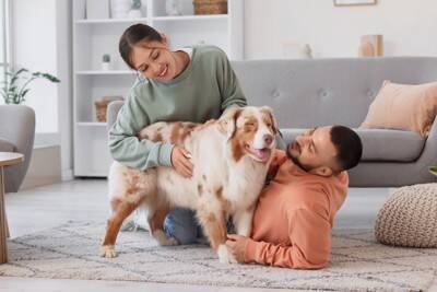 犬が『人の間に割り込む』心理５選　嫉妬しているから？飼い主がすべき対応まで解説