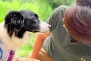 実家を出る息子に『犬を迎えて』と助言されたママ→一緒に暮らし始めた結果…帰省中の『幸せいっぱいな光景』に涙「泣いた」「優しすぎる」
