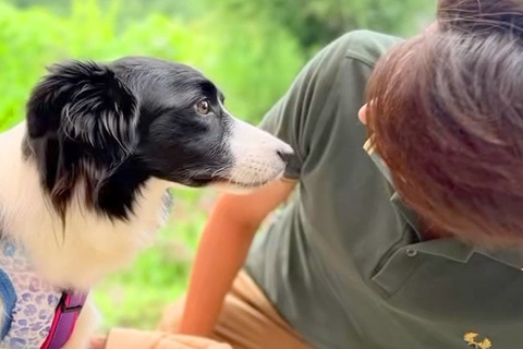 実家を出る息子に『犬を迎えて』と助言されたママ→一緒に暮らし始めた結果…帰省中の『幸せいっぱいな光景』に涙「泣いた」「優しすぎる」