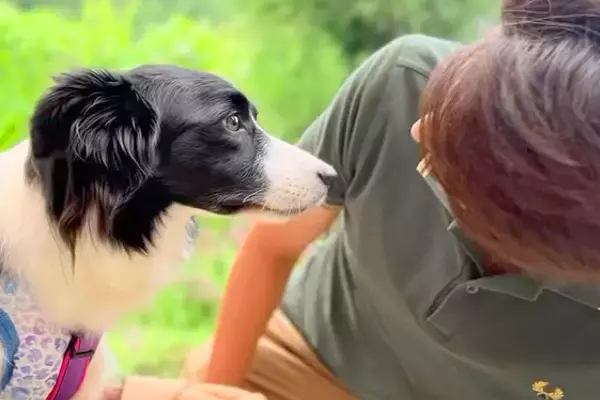 実家を出る息子に『犬を迎えて』と助言されたママ→一緒に暮らし始めた結果…帰省中の『幸せいっぱいな光景』に涙「泣いた」「優しすぎる」